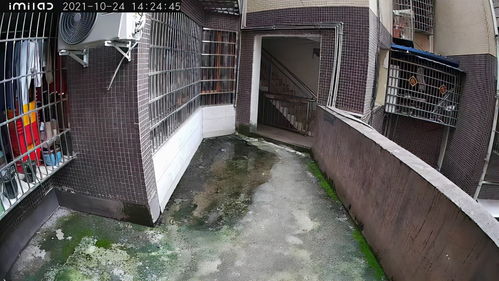小白别墅摄像头体验 太阳能供电，无限续航，告别布线烦恼